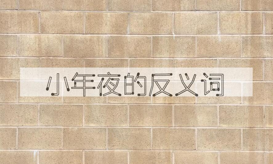 用小年夜造句