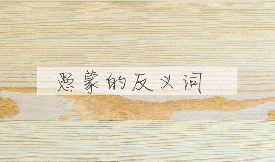 用愚蒙造句