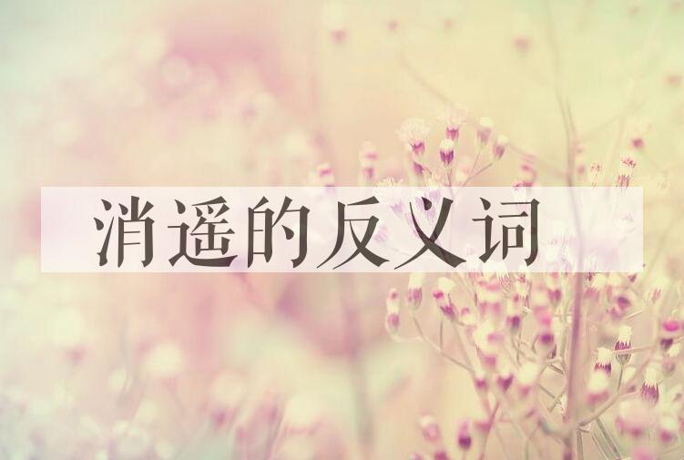 用消遥造句