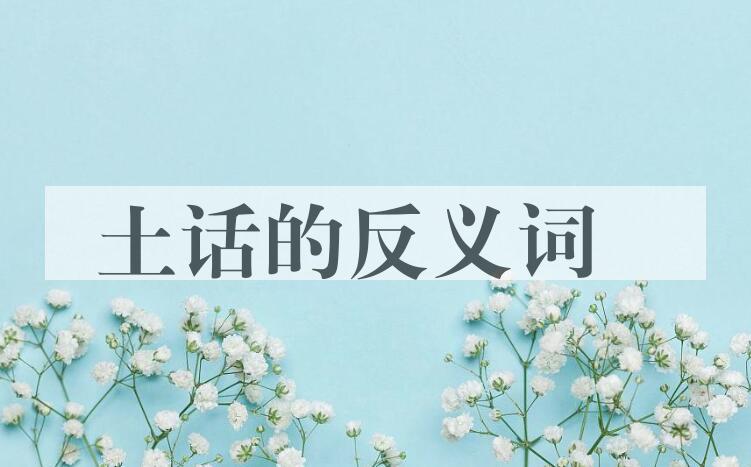 用土话造句