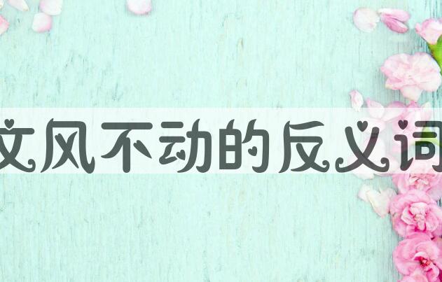 用文风不动造句