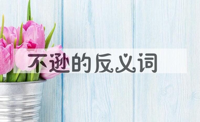 用不逊造句