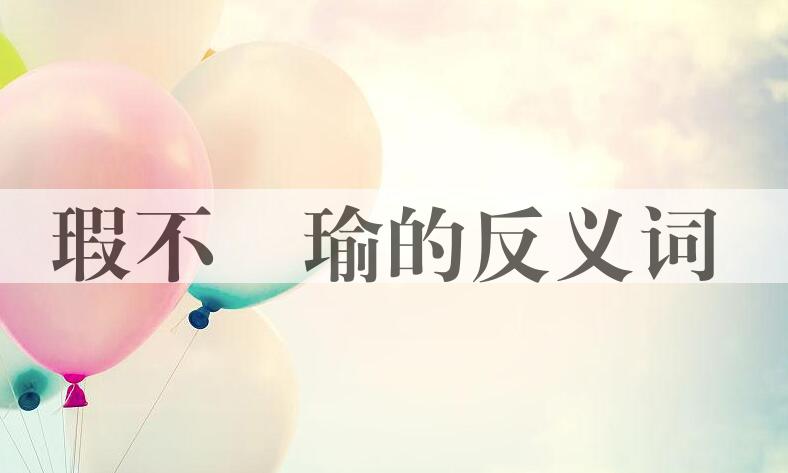 用瑕不搑瑜造句