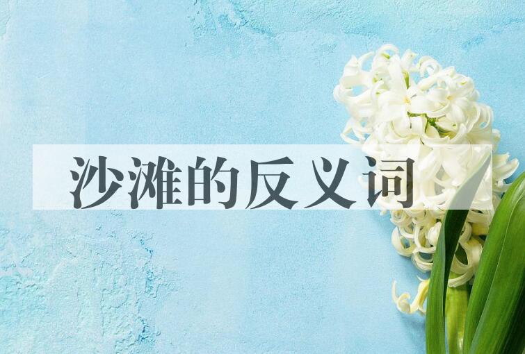 用沙滩造句
