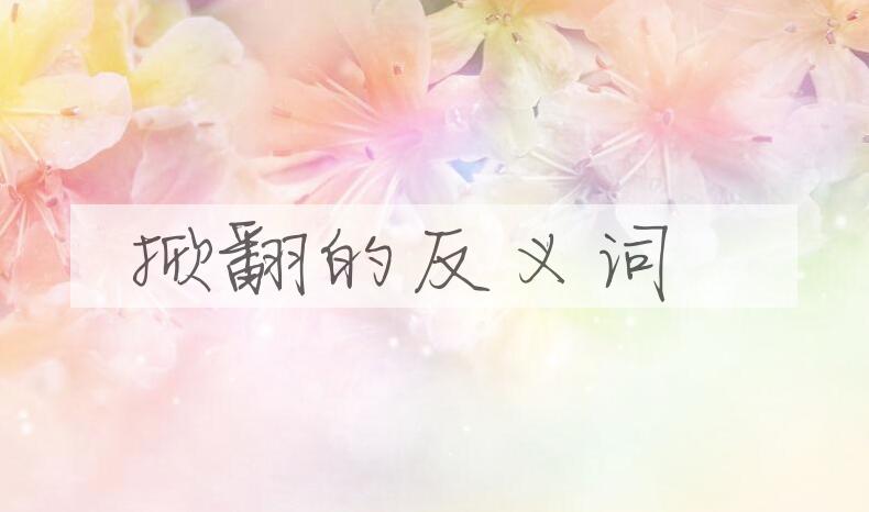 用掀翻造句