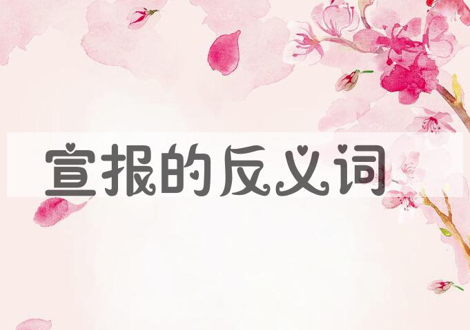用宣报造句