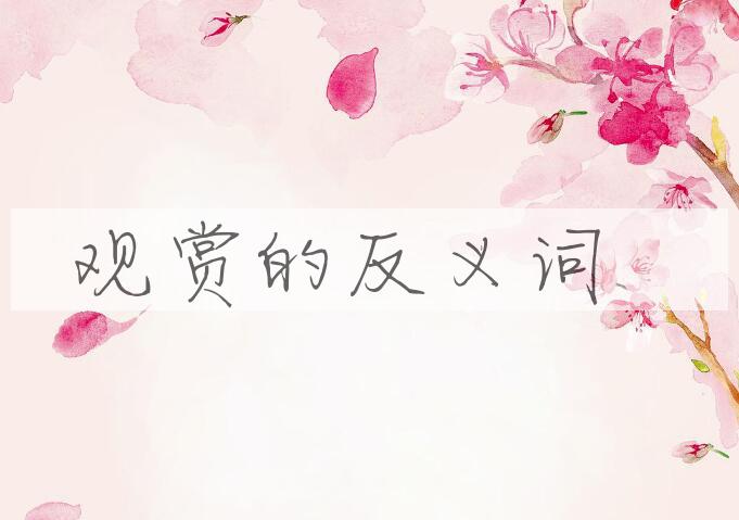 用观赏造句