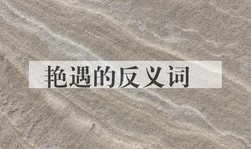 用艳遇造句