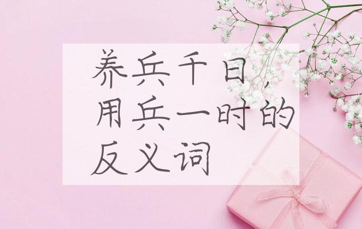 用养兵千日，用兵一时造句