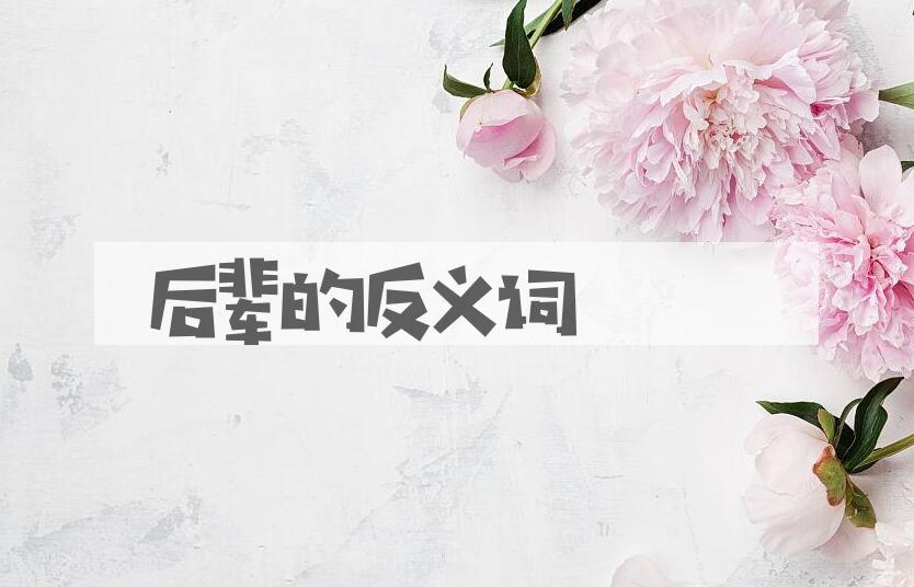 用后辈造句