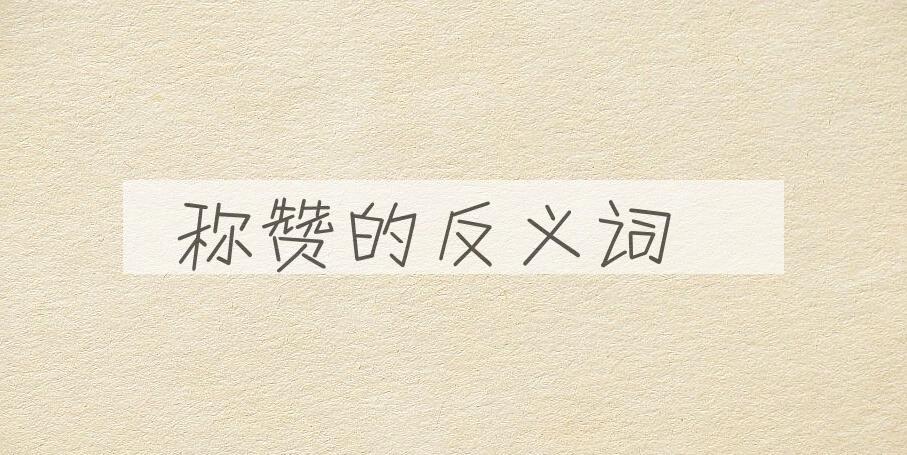用称赞造句