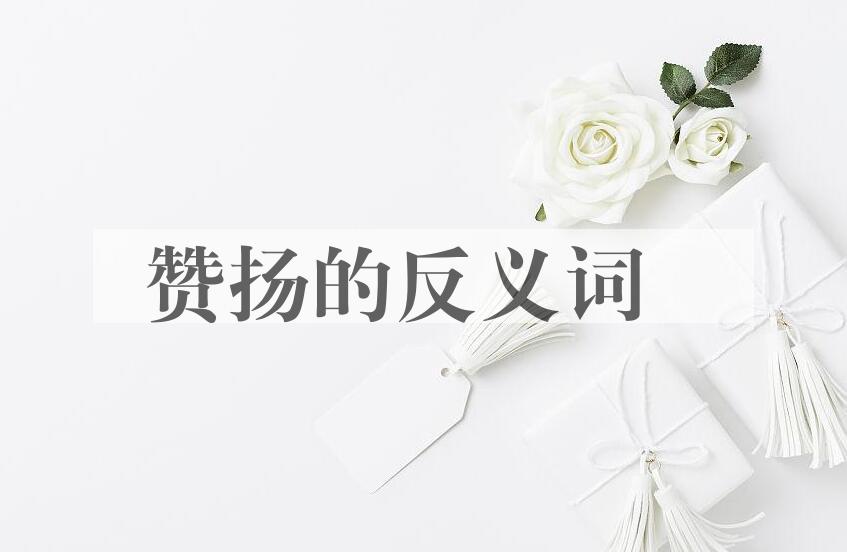 用赞扬造句