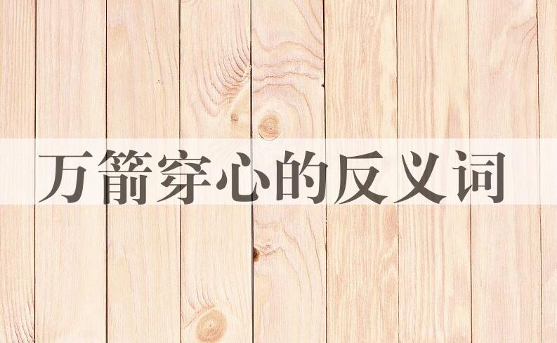 用万箭穿心造句