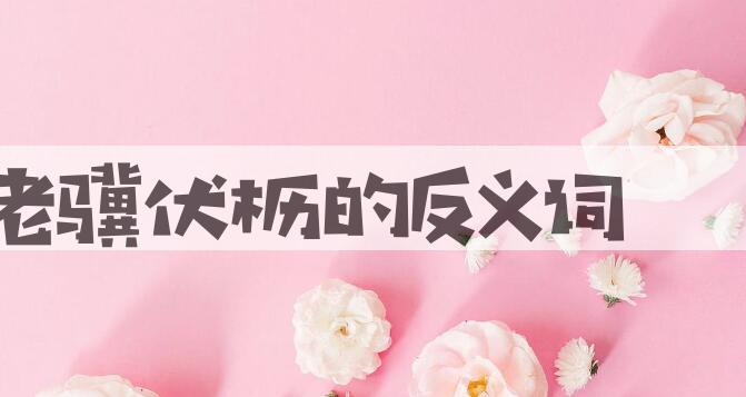用老骥伏枥造句
