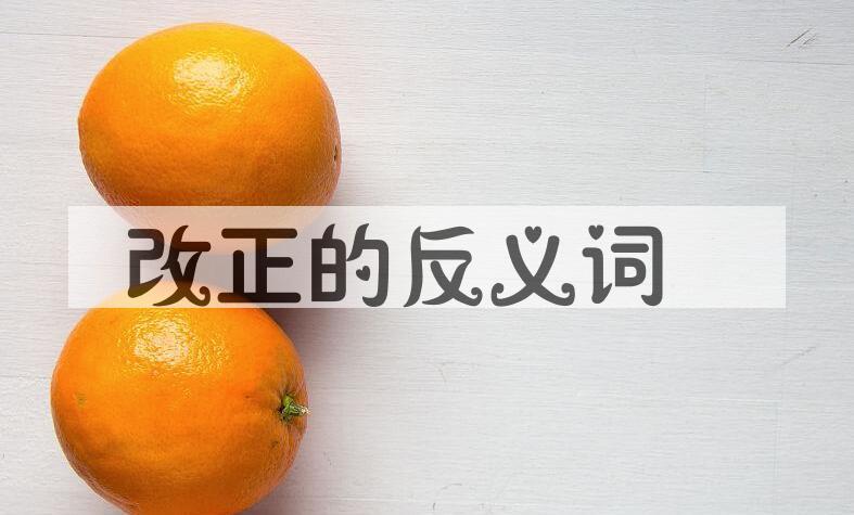 用改正造句