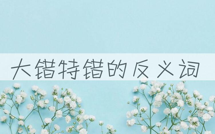 用大错特错造句