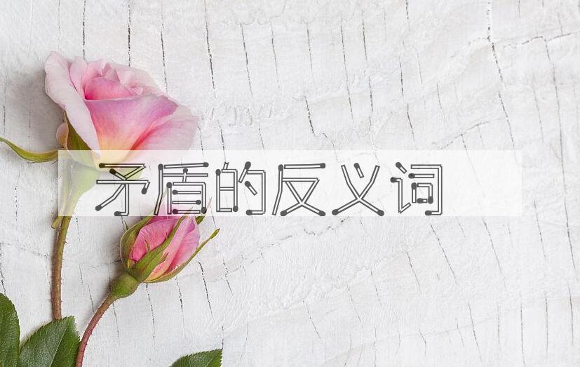 用矛盾造句