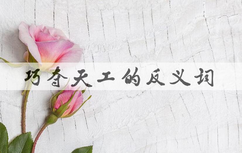 用巧夺天工造句