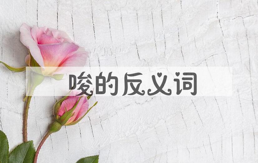 用啰唆造句