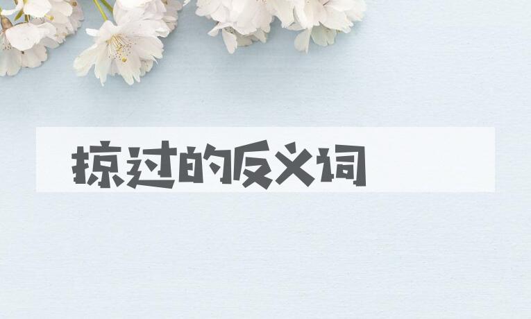 用掠过造句