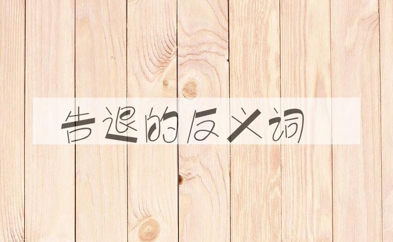 用告退造句