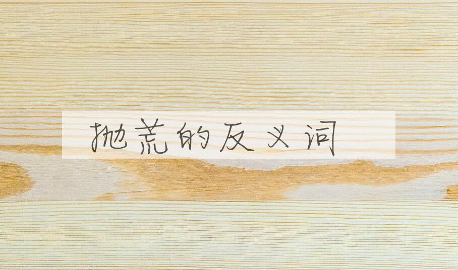 用抛荒造句