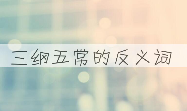 用三纲五常造句