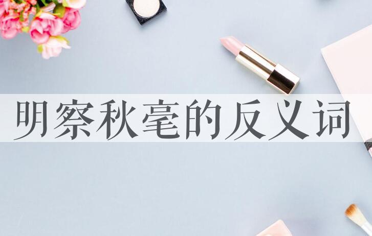 用明察秋毫造句