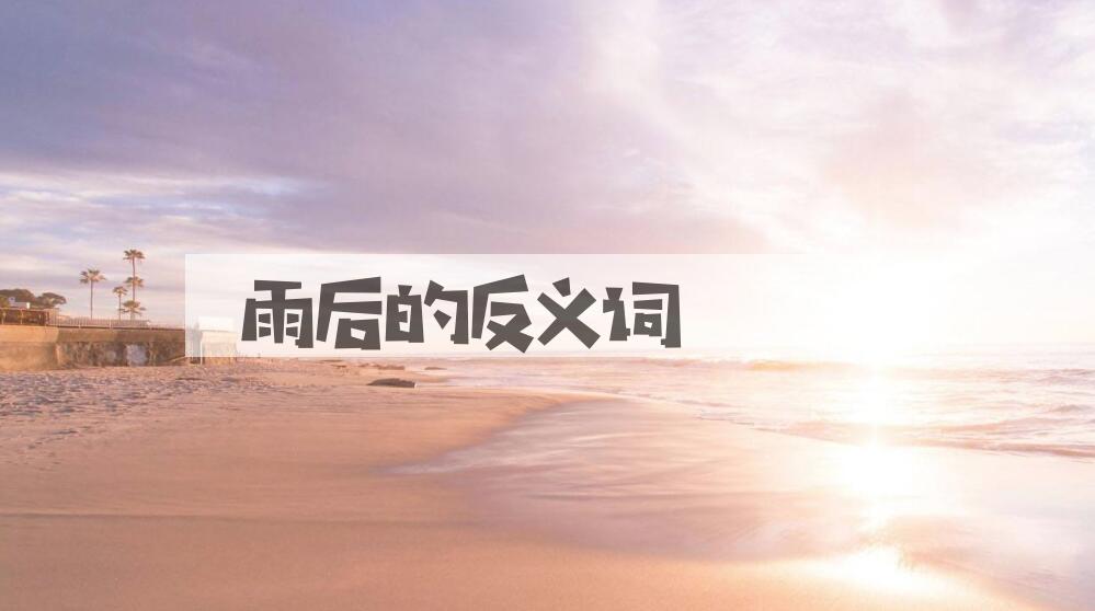 用雨后造句