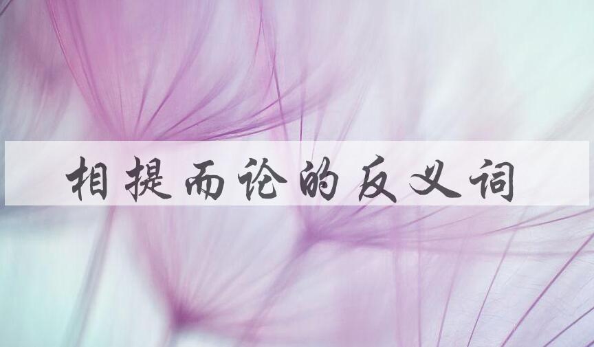 用相提而论造句
