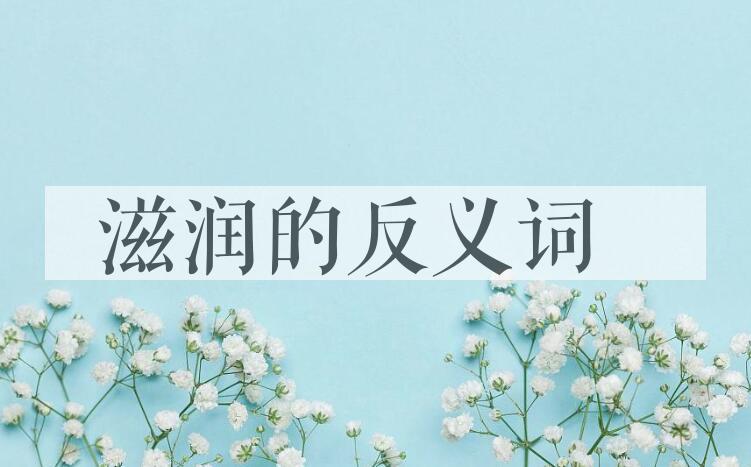 用滋润造句