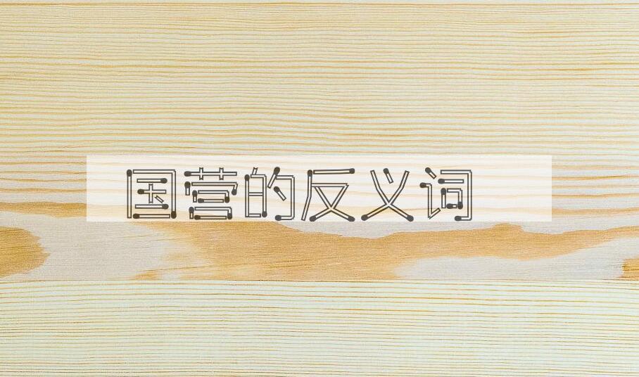 用国营造句