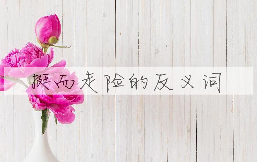 用挺而走险造句