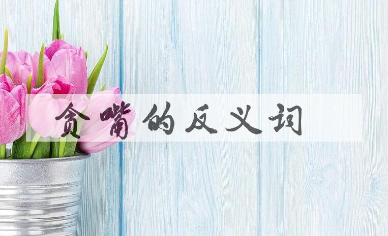 用贪嘴造句