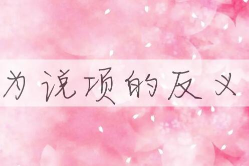 用代为说项造句