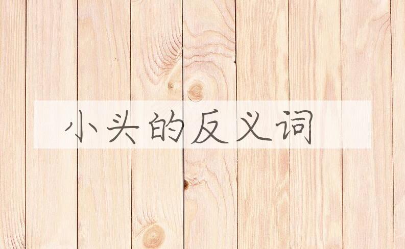 用小头造句