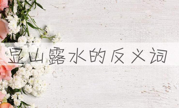 用显山露水造句