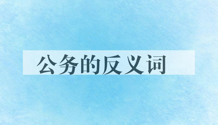 用公务造句