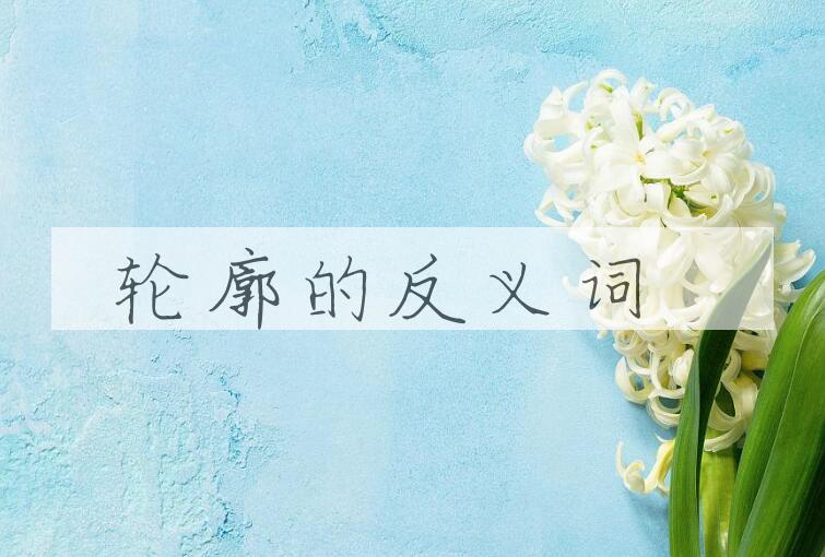 用轮廓造句