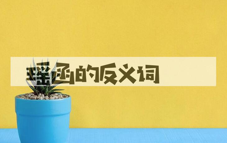 用瑶函造句