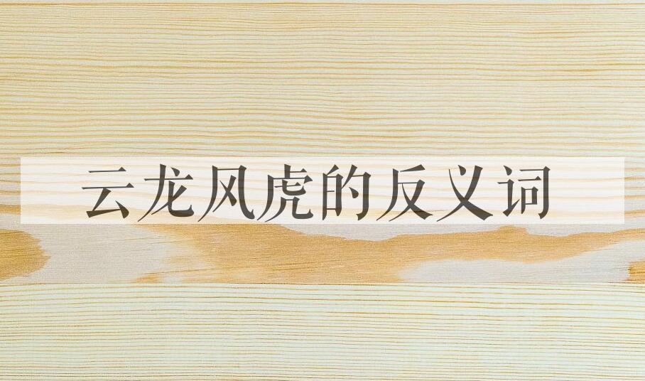 用云龙风虎造句