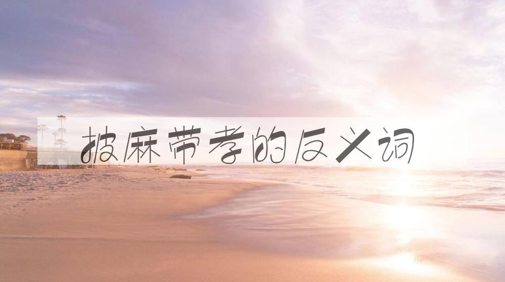 用披麻带孝造句