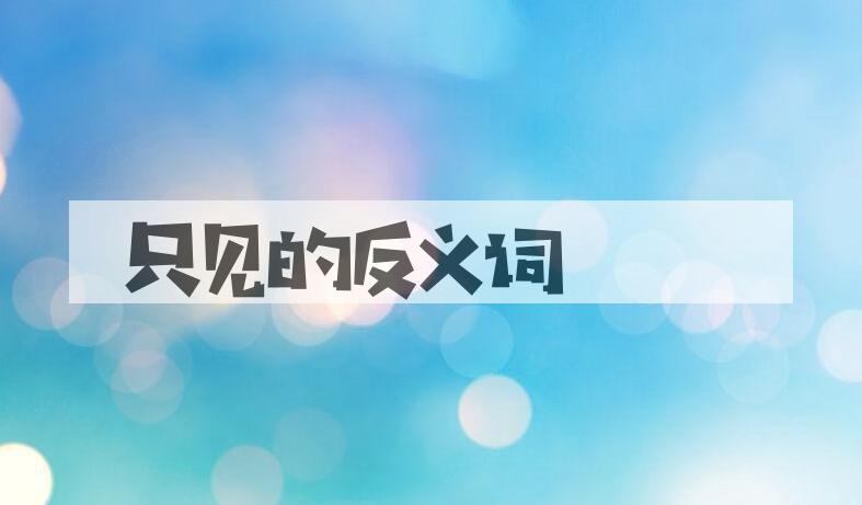用只见造句