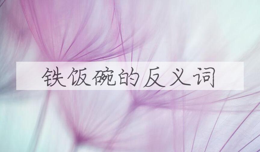 用铁饭碗造句
