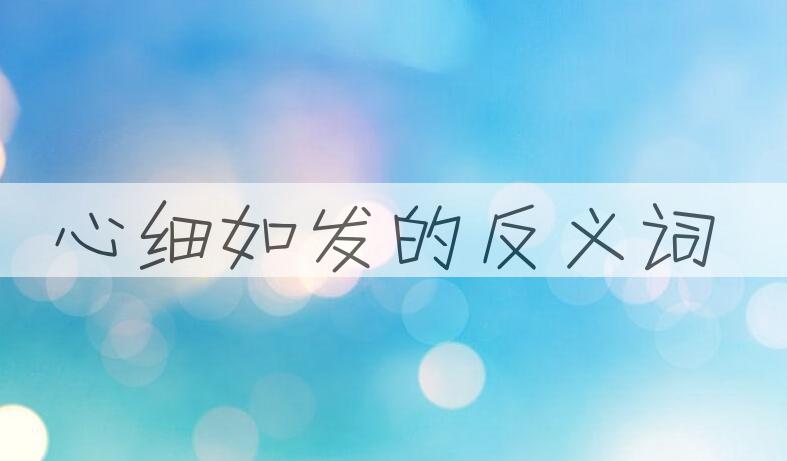 用心细如发造句