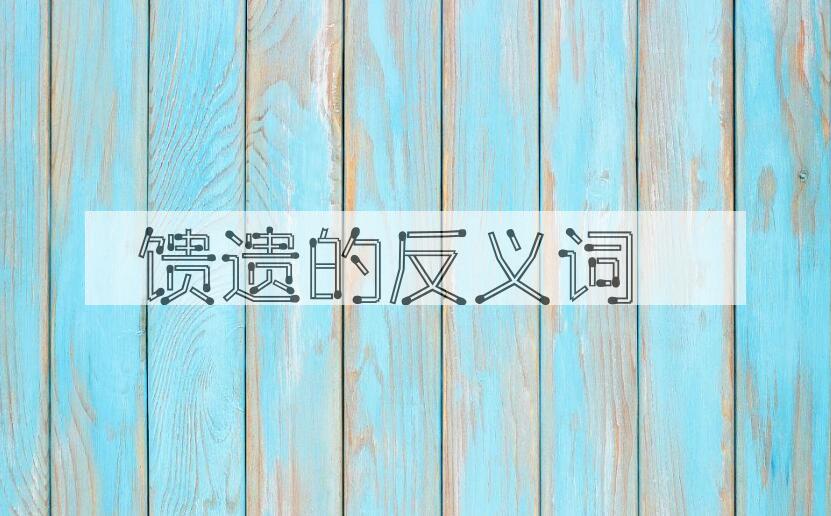 用馈遗造句