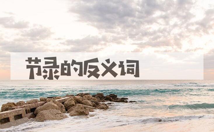 用节录造句