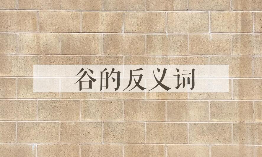 用厓谷造句