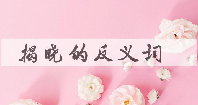 用揭晓造句