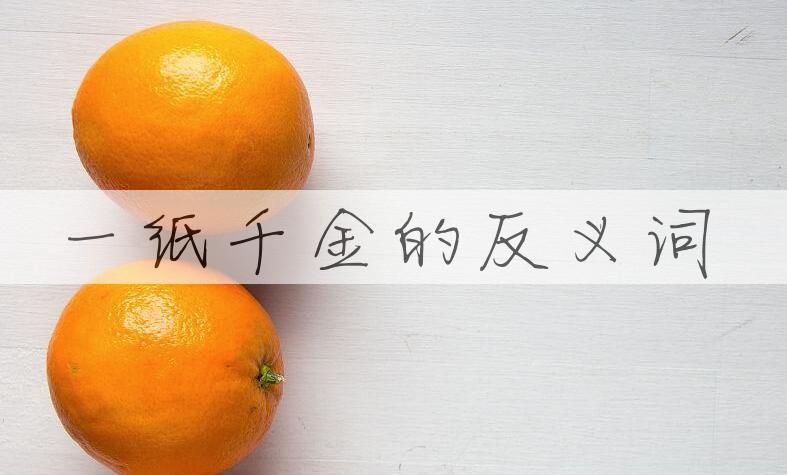 用一纸千金造句